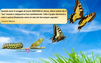 La mente mente… la mente ha ragione.