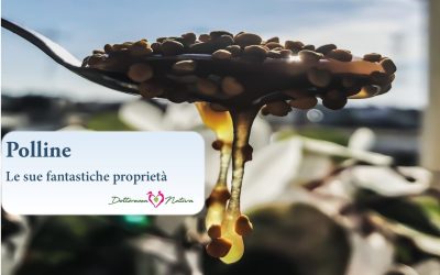 Miele e Polline: l’accoppiata vincente per vincere la stanchezza di primavera!