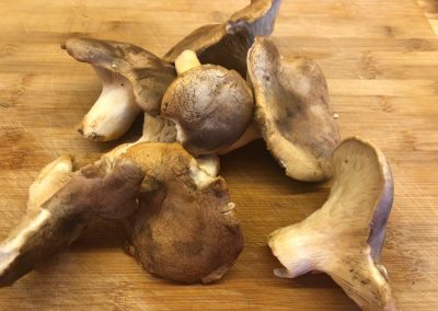 funghi 1 Cipolle ripiene con purè di patate e funghi Dottoressa Natura