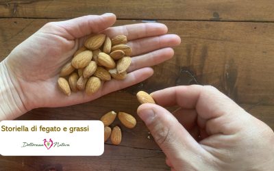 La storiella di fegato e grassi