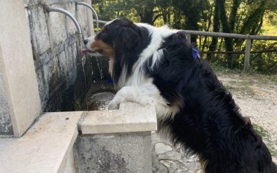 Sfatiamo il mito di bere tanta acqua