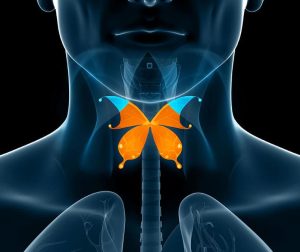 Thyroid Symptoms TIROIDE: esprimiti per rigenerarla Dottoressa Natura