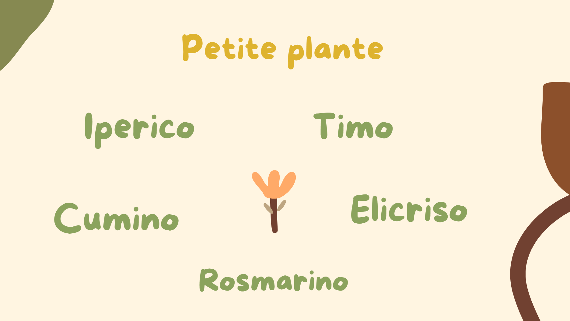 serena bove elenco piante timo rosmarino elicriso Ma petite ecòle: Acqua Magica di San Giovanni. A cura di Serena Bove Dottoressa Natura
