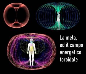 mela_campo_energetico_toroide_naderButto_dottoressaNatura
