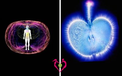 Toroide, Mela e una Ricetta che connette il corpo all’anima e l’anima allo spirito