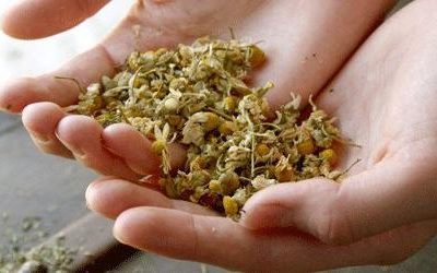 Dottoressa Natura - Medicina naturale ed energetica 10 - Dottoressa Natura Il Clistere di camomilla: dona calma e distende i nervi