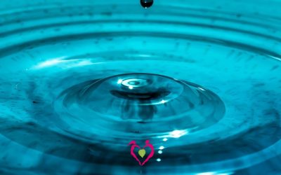 Dottoressa Natura - Medicina naturale ed energetica 8 - Dottoressa Natura La ricchezza della meditazione nella vita: il metodo MPA di Mariano Ballester